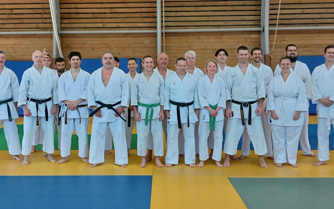 Stage de Karate-do à Morestel