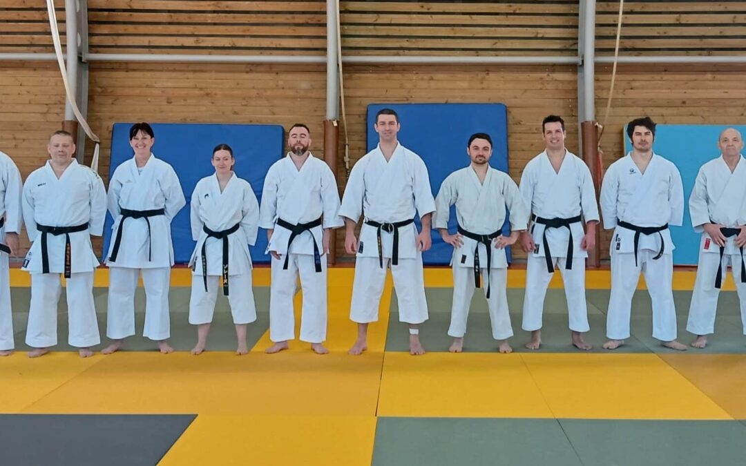 Stage de karate à Morestel (38)